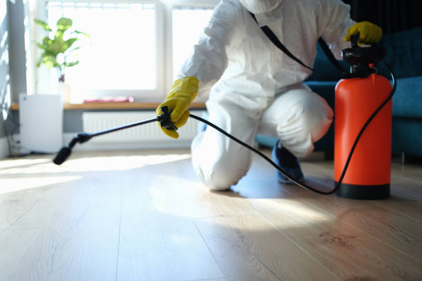Reliable Odor Removal contractor in Boonton, NJ by Trauma Clean Pros
